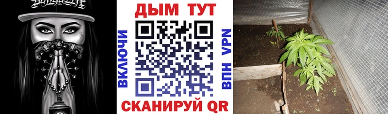 Купить закладку Бутурлиновка ГАШИШ Галлюциногенные грибы АМФЕТАМИН МЕФ блэк спрут ссылка Cocaine