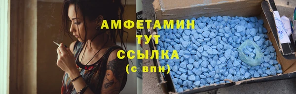первитин Богданович