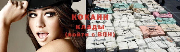 первитин Богданович