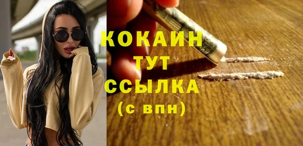 первитин Богданович