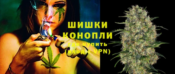 первитин Богородицк