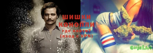 первитин Богородицк