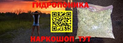 молекула духа Новозыбков