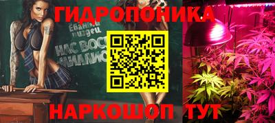соль ск Новокубанск