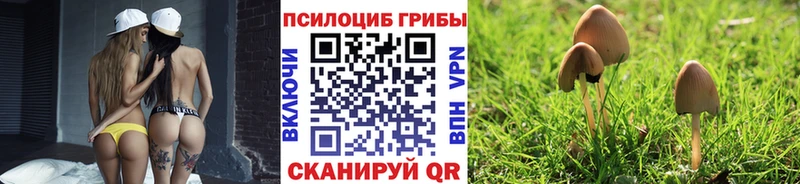Галлюциногенные грибы Cubensis  Бутурлиновка 
