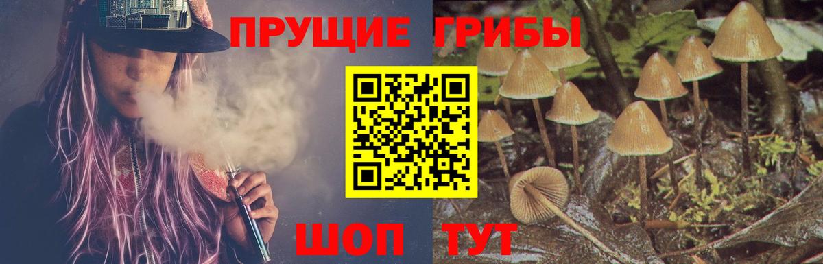 Галлюциногенные грибы Magic Shrooms Бутурлиновка